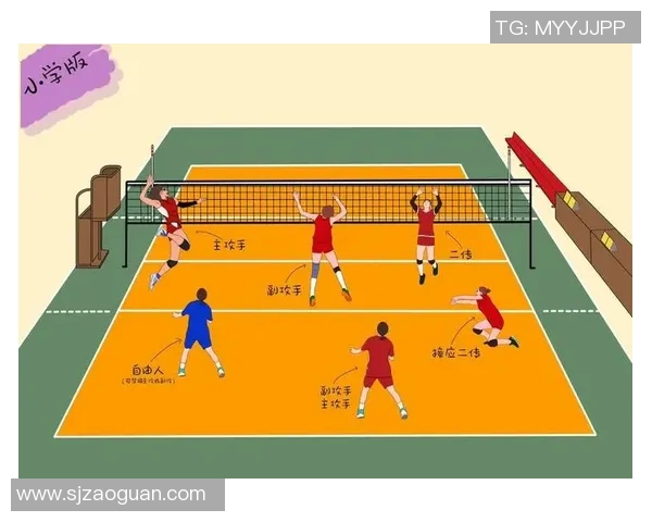 上海排球队的战术控制与队伍发展深度剖析